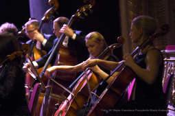 1212.jpg-Filharmonii Krakowskiej