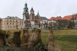 2121.jpg-Konferencja prasowa w sprawie współpracy Miasta i Wawelu