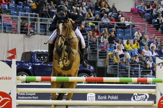 bs-lutego 23, 2020-img_6556.jpg-Cavaliada,Majchrowski,Grand Prix Krakowa