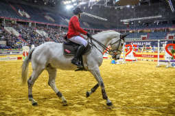 bs-lutego 23, 2020-img_6560.jpg-Cavaliada,Majchrowski,Grand Prix Krakowa