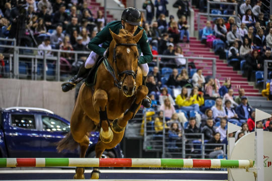 bs-lutego 23, 2020-img_6687.jpg-Cavaliada,Majchrowski,Grand Prix Krakowa