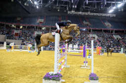 bs-lutego 23, 2020-img_6793.jpg-Cavaliada,Majchrowski,Grand Prix Krakowa