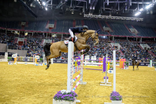 bs-lutego 23, 2020-img_6793.jpg-Cavaliada,Majchrowski,Grand Prix Krakowa