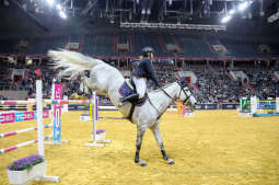 bs-lutego 23, 2020-img_6834.jpg-Cavaliada,Majchrowski,Grand Prix Krakowa