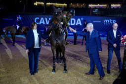 bs-lutego 23, 2020-img_7287.jpg-Cavaliada,Majchrowski,Grand Prix Krakowa