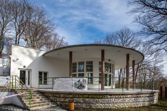 bs-lutego 19, 2020-bs_200219_3955.jpg-Symbioza,Las Wolski,Majchrowski,ZZM