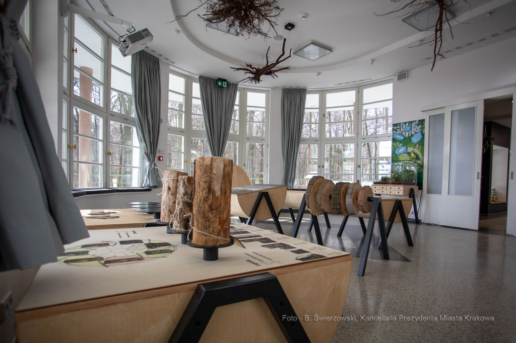 bs-lutego 19, 2020-bs_200219_4000.jpg-Symbioza,Las Wolski,Majchrowski,ZZM  Autor: B. Świerzowski