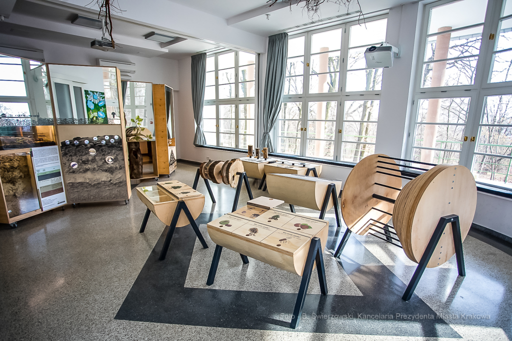 bs-lutego 19, 2020-bs_200219_4022.jpg-Symbioza,Las Wolski,Majchrowski,ZZM  Autor: B. Świerzowski