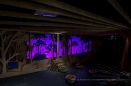 bs-lutego 19, 2020-bs_200219_4046.jpg-Symbioza,Las Wolski,Majchrowski,ZZM