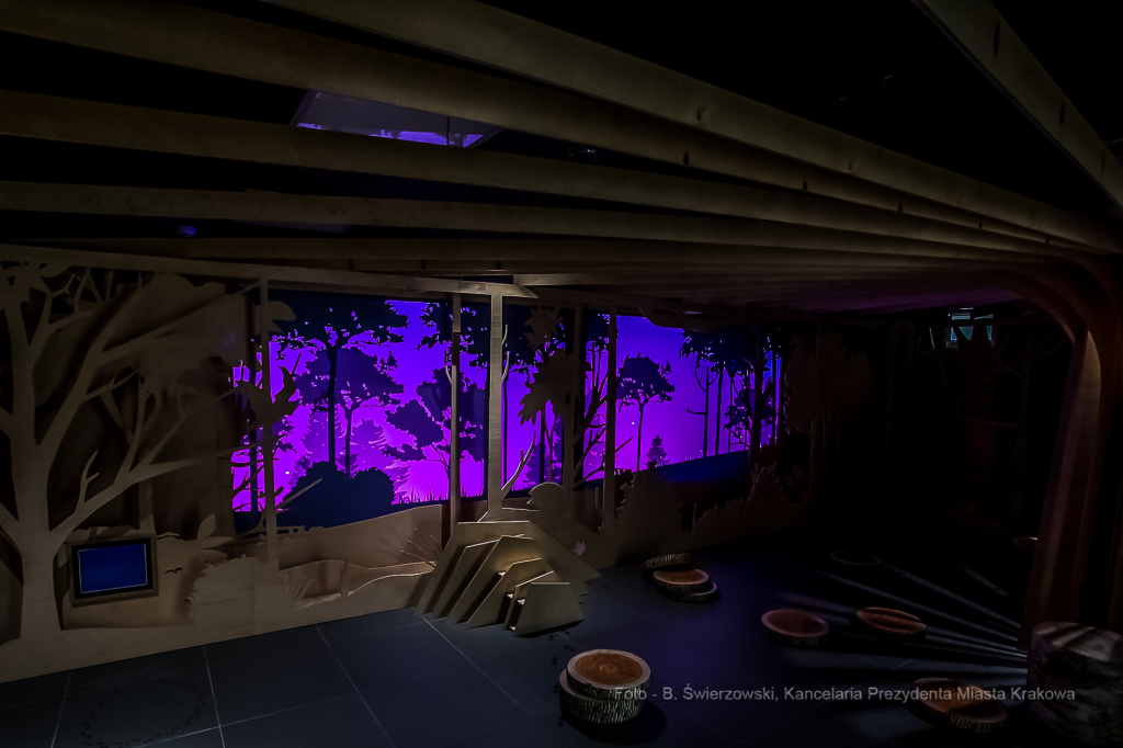 bs-lutego 19, 2020-bs_200219_4046.jpg-Symbioza,Las Wolski,Majchrowski,ZZM  Autor: B. Świerzowski