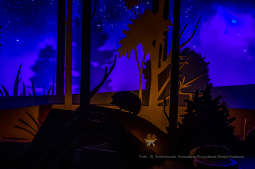 bs-lutego 19, 2020-bs_200219_4098.jpg-Symbioza,Las Wolski,Majchrowski,ZZM