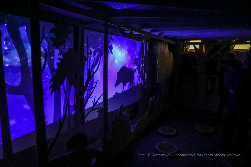 bs-lutego 29, 2020-img_7868.jpg-Symbioza,Las Wolski,Majchrowski,ZZM  Autor: B. Świerzowski