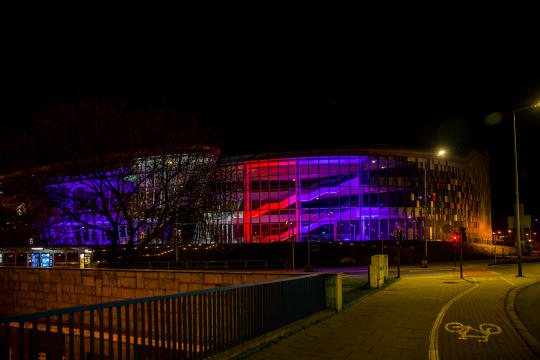 bs-marca 30, 2020-img_9949 — kopia.jpg-koronawirus USA, Wielka Brytania