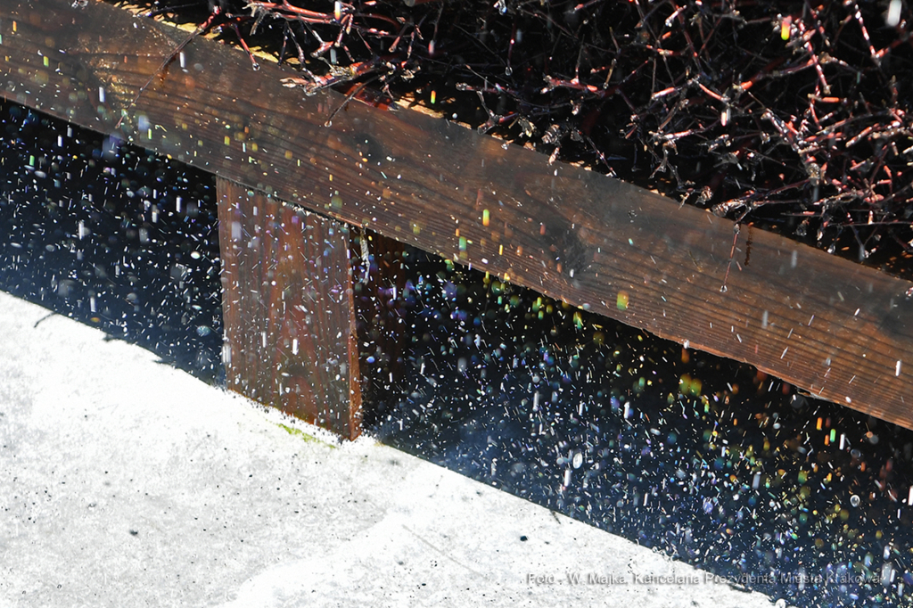 1616.jpg-Tężnia  Autor: W. Majka