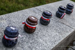 bs-sierpnia 05, 2020-img_0661.jpg-Capstrzyk,Kadrówka,Kopiec