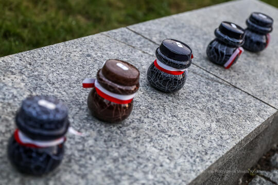 bs-sierpnia 05, 2020-img_0661.jpg-Capstrzyk,Kadrówka,Kopiec