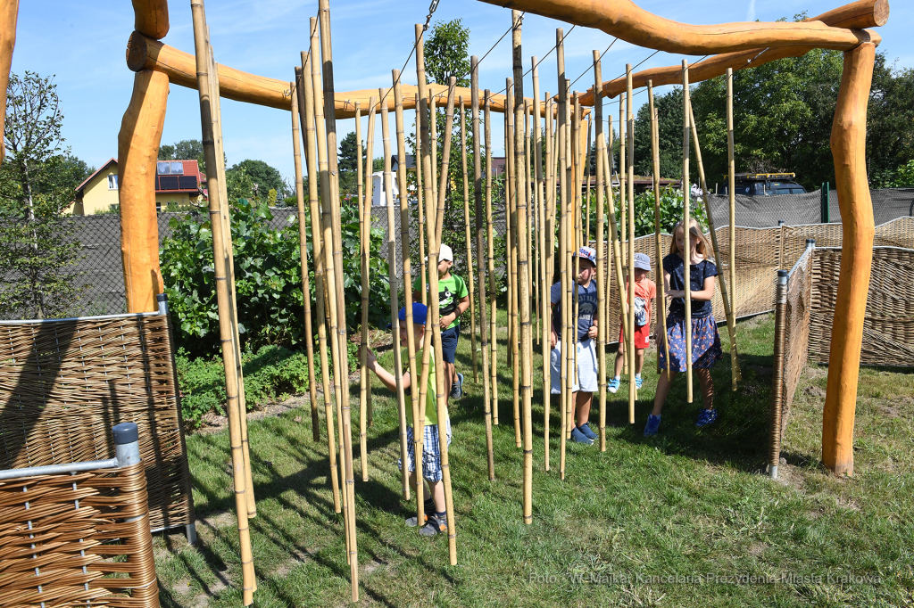 04jpg.jpg-0gród kieszonkowy Rybitwy 61  Autor: W. Majka