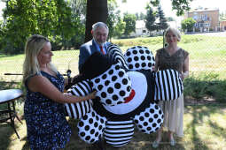 41jpg.jpg-0gród kieszonkowy Rybitwy 61