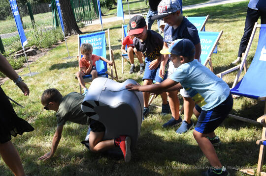 44jpg.jpg-0gród kieszonkowy Rybitwy 61