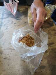 20.jpg-Przewodniczący Rady Miasta Krakowa