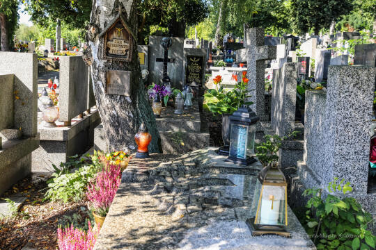 bs_200911_5280.jpg-Jan Sztaudynger,Staniszewska,Cmentarz