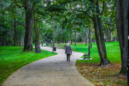 bs-września 26, 2020-img_7406.jpg-Park Jerzmanowskich, Majchrowski