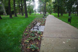 bs-września 26, 2020-img_7441.jpg-Park Jerzmanowskich, Majchrowski