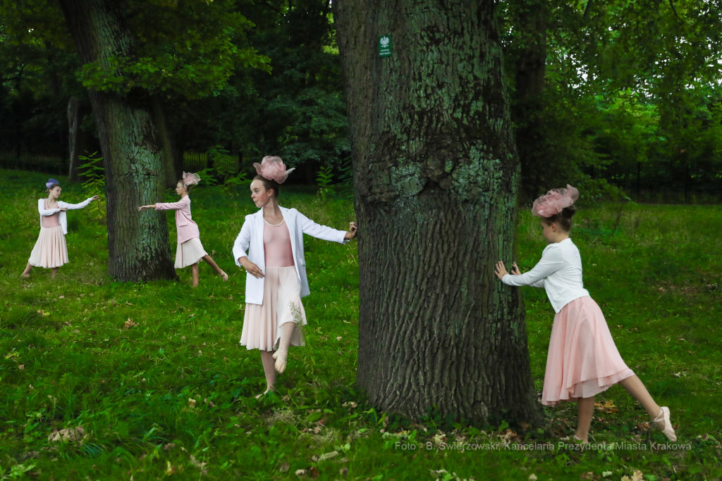 bs-września 26, 2020-img_7490.jpg-Park Jerzmanowskich, Majchrowski  Autor: B. Świerzowski