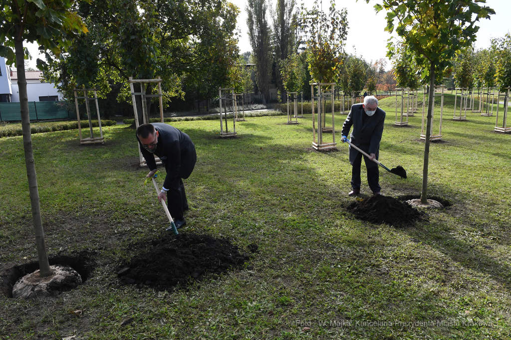 06jpg.jpg-sadzenie drzewek w Parku Dębnickim  Autor: W. Majka