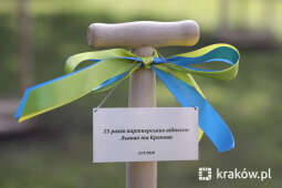 Drzewa na 25-lecie współpracy Krakowa ze Lwowem_copy