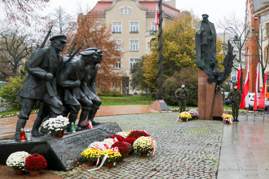 bs_201111_0594.jpg-11 Listopada,Kwiaty