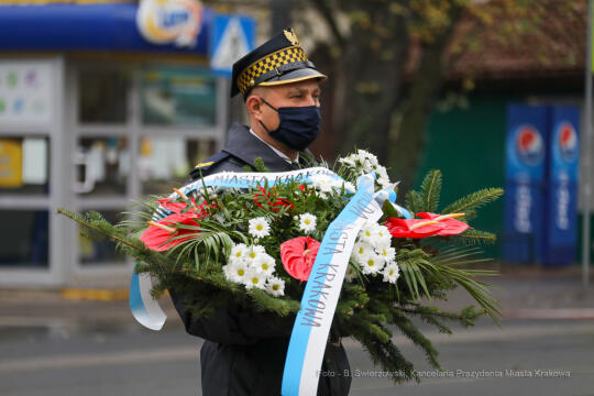 bs_201111_0602.jpg-11 Listopada,Kwiaty