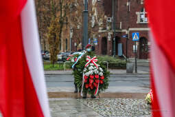 bs_201111_0617.jpg-11 Listopada,Kwiaty