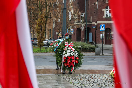 bs_201111_0617.jpg-11 Listopada,Kwiaty