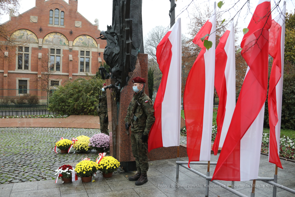 bs_201111_0626.jpg-11 Listopada,Kwiaty  Autor: B. Świerzowski