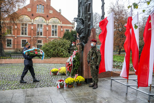 bs_201111_0669.jpg-11 Listopada,Kwiaty