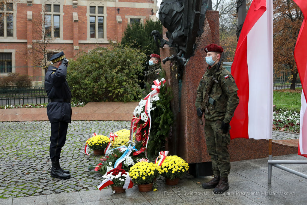 bs_201111_0679.jpg-11 Listopada,Kwiaty  Autor: B. Świerzowski