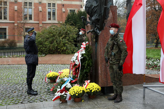 bs_201111_0679.jpg-11 Listopada,Kwiaty