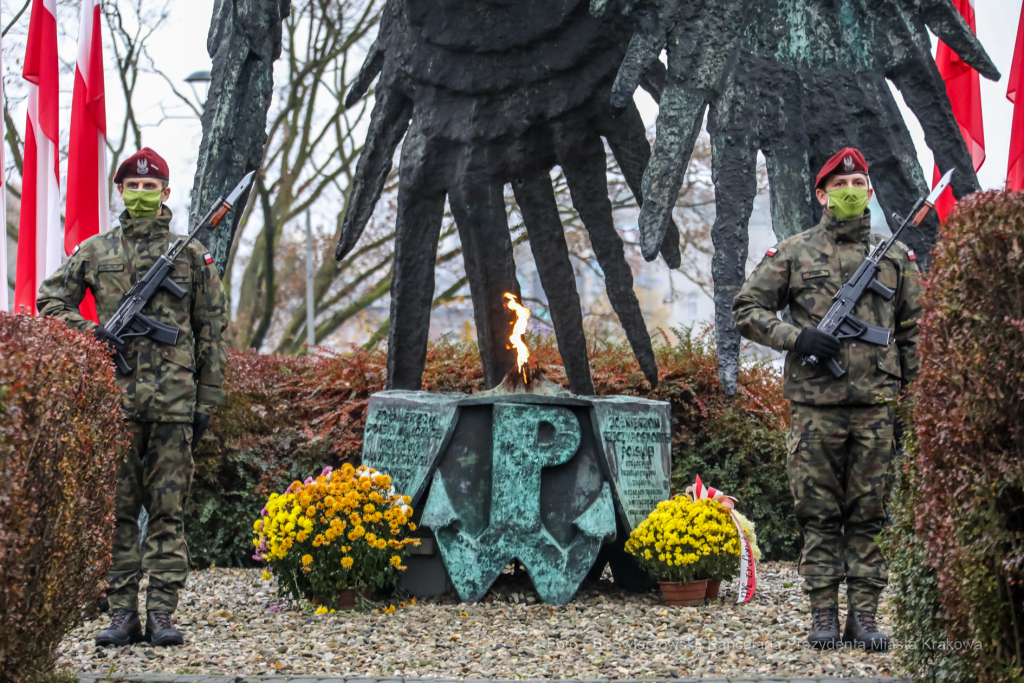 bs_201111_0697.jpg-11 Listopada,Kwiaty  Autor: B. Świerzowski