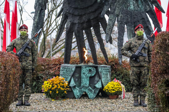 bs_201111_0697.jpg-11 Listopada,Kwiaty