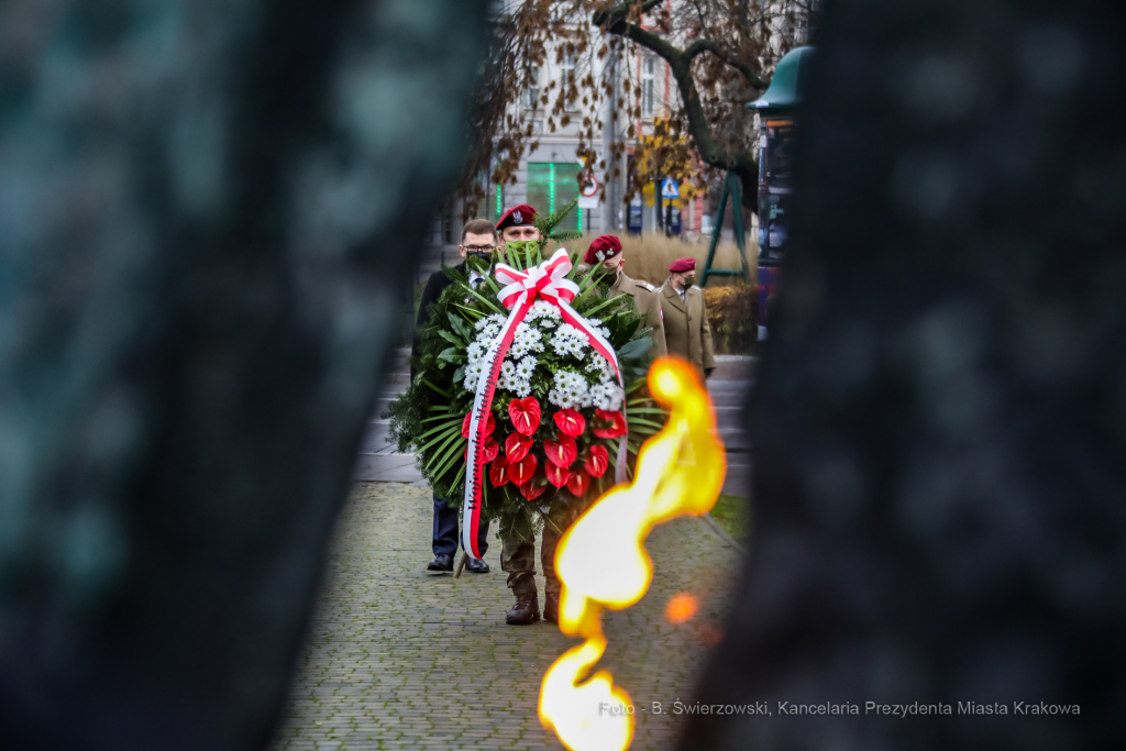 bs_201111_0719.jpg-11 Listopada,Kwiaty  Autor: B. Świerzowski