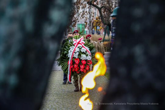 bs_201111_0719.jpg-11 Listopada,Kwiaty