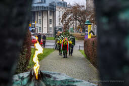 bs_201111_0731.jpg-11 Listopada,Kwiaty