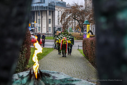 bs_201111_0731.jpg-11 Listopada,Kwiaty