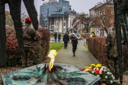 bs_201111_0751.jpg-11 Listopada,Kwiaty