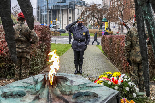 bs_201111_0762.jpg-11 Listopada,Kwiaty