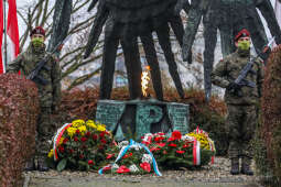 bs_201111_0768.jpg-11 Listopada,Kwiaty