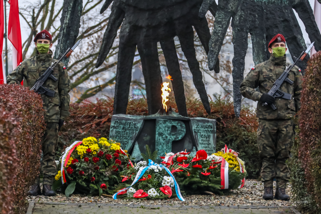 bs_201111_0768.jpg-11 Listopada,Kwiaty  Autor: B. Świerzowski