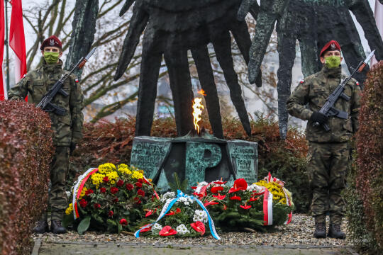 bs_201111_0768.jpg-11 Listopada,Kwiaty