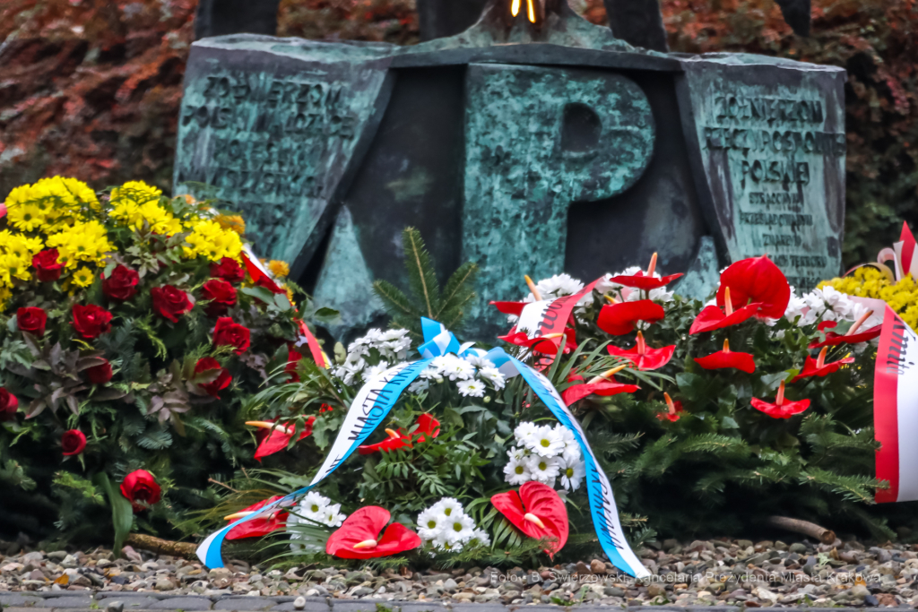 bs_201111_0771.jpg-11 Listopada,Kwiaty  Autor: B. Świerzowski